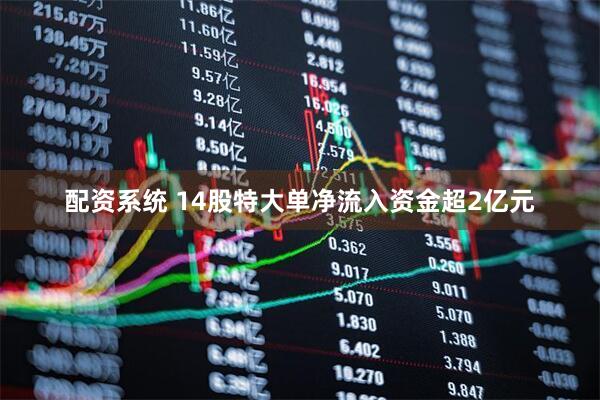 配资系统 14股特大单净流入资金超2亿元