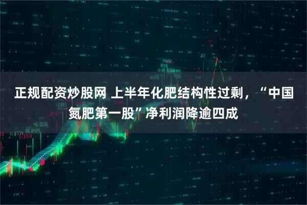 正规配资炒股网 上半年化肥结构性过剩，“中国氮肥第一股”净利润降逾四成